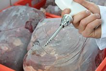 Наконечник для замороженных продуктов к Testo 105